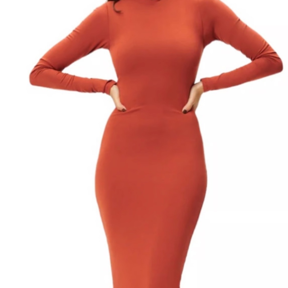 Good American Women's Sundown Dress Mock Collar Long Sleeve in Brick | Size 1